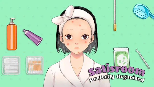 Satisroom - Perfectly Organized oyununun kapağı